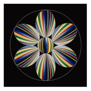 Rainbow Flower on Black